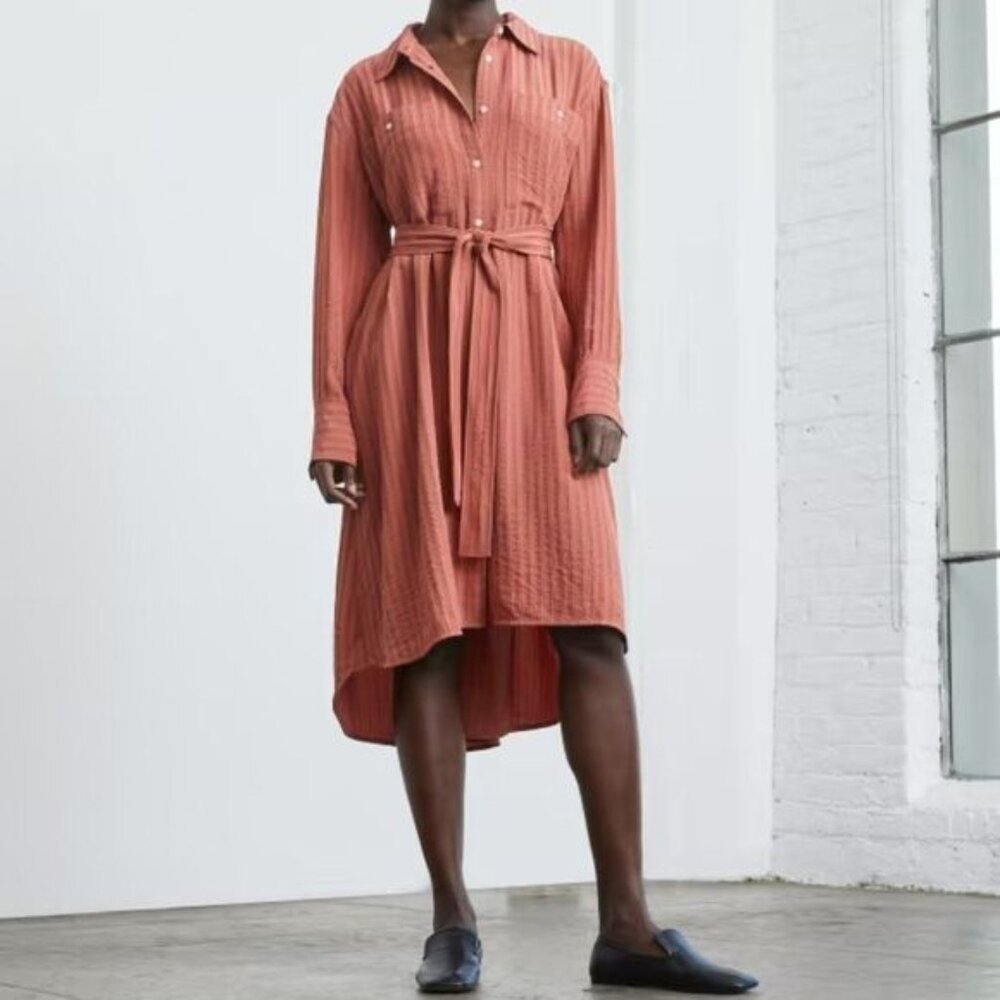 Everlane The City Stripe Draped Long Sleeve Shirt High Low Midi Dress Redwood XS